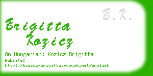 brigitta kozicz business card